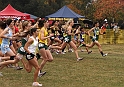 2010CIF XC GD2-1962